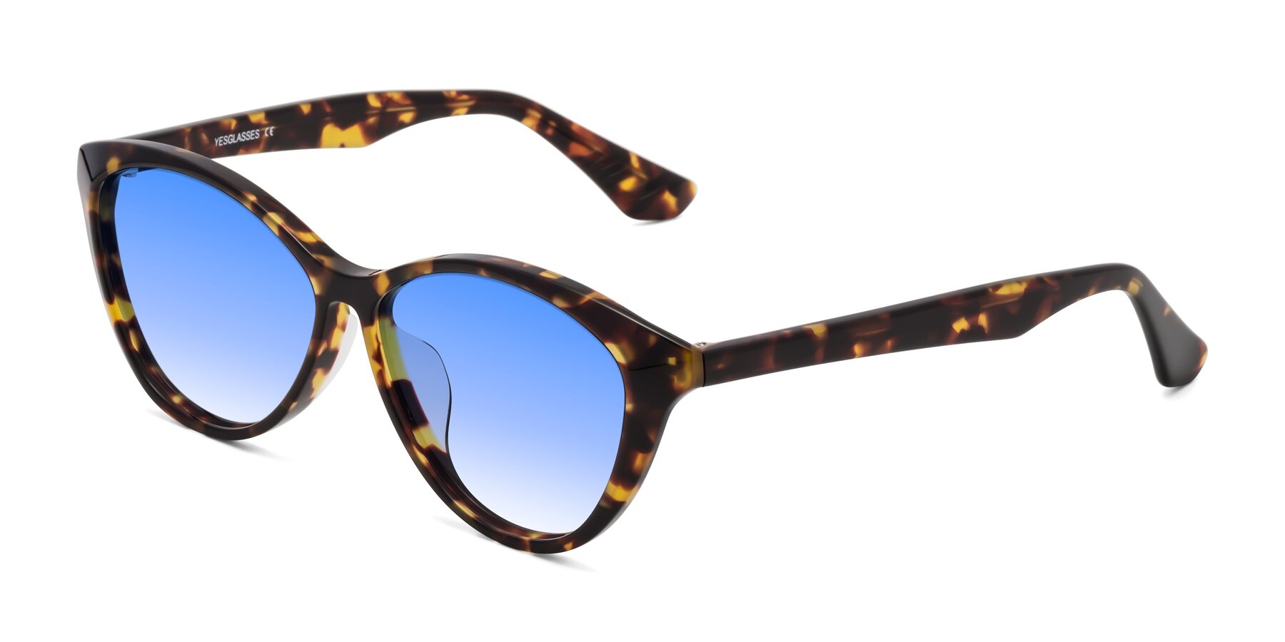 Angle of Casualness in Tortoise with Blue Gradient Lenses