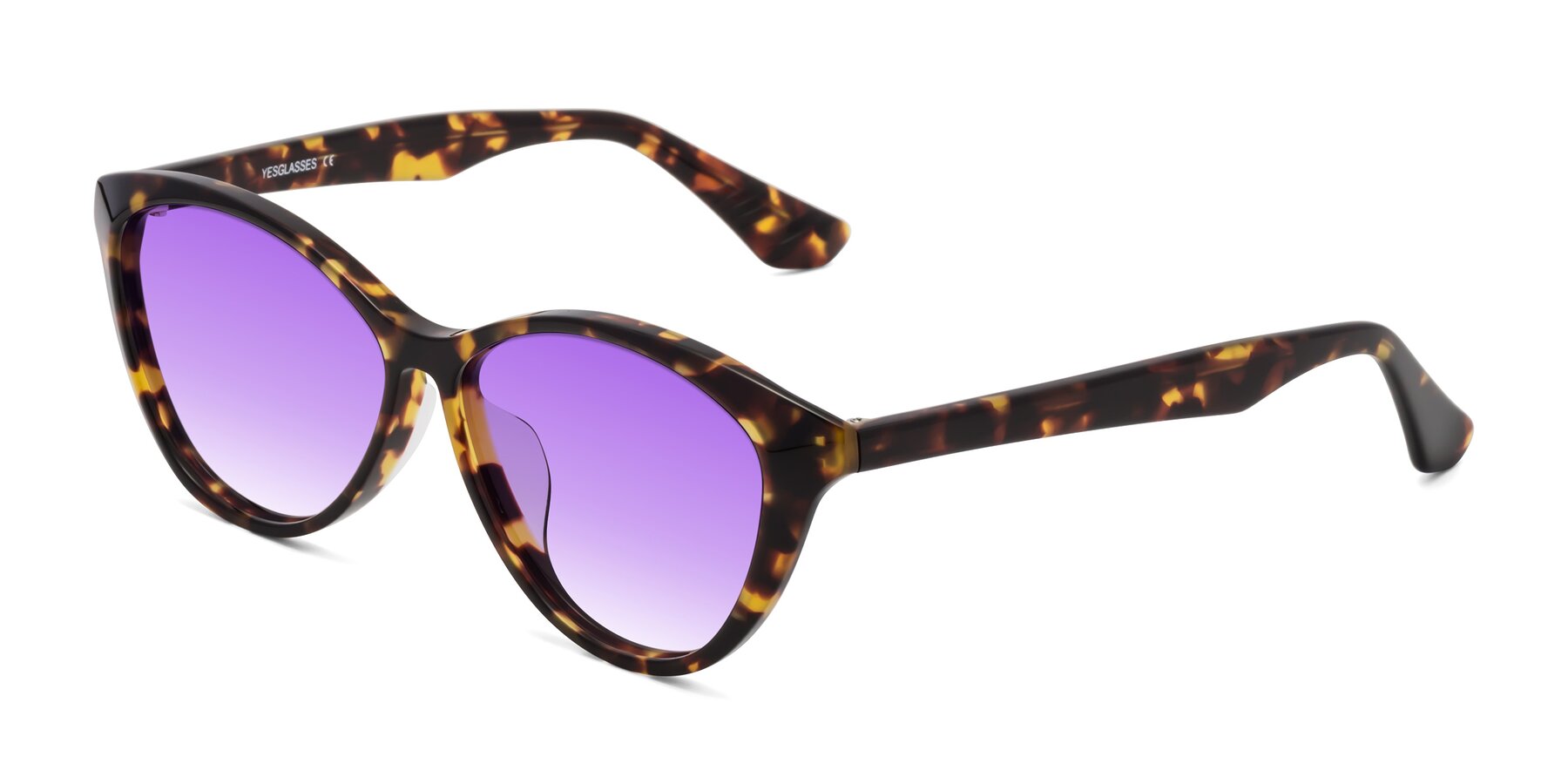 Angle of Casualness in Tortoise with Purple Gradient Lenses