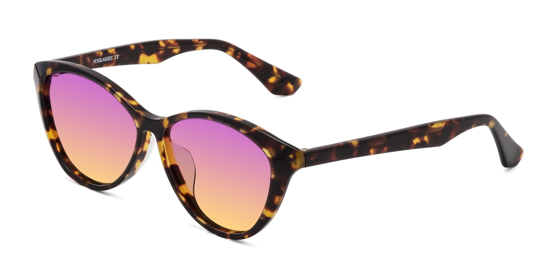 Angle of Casualness in Tortoise with Purple / Yellow Gradient Lenses