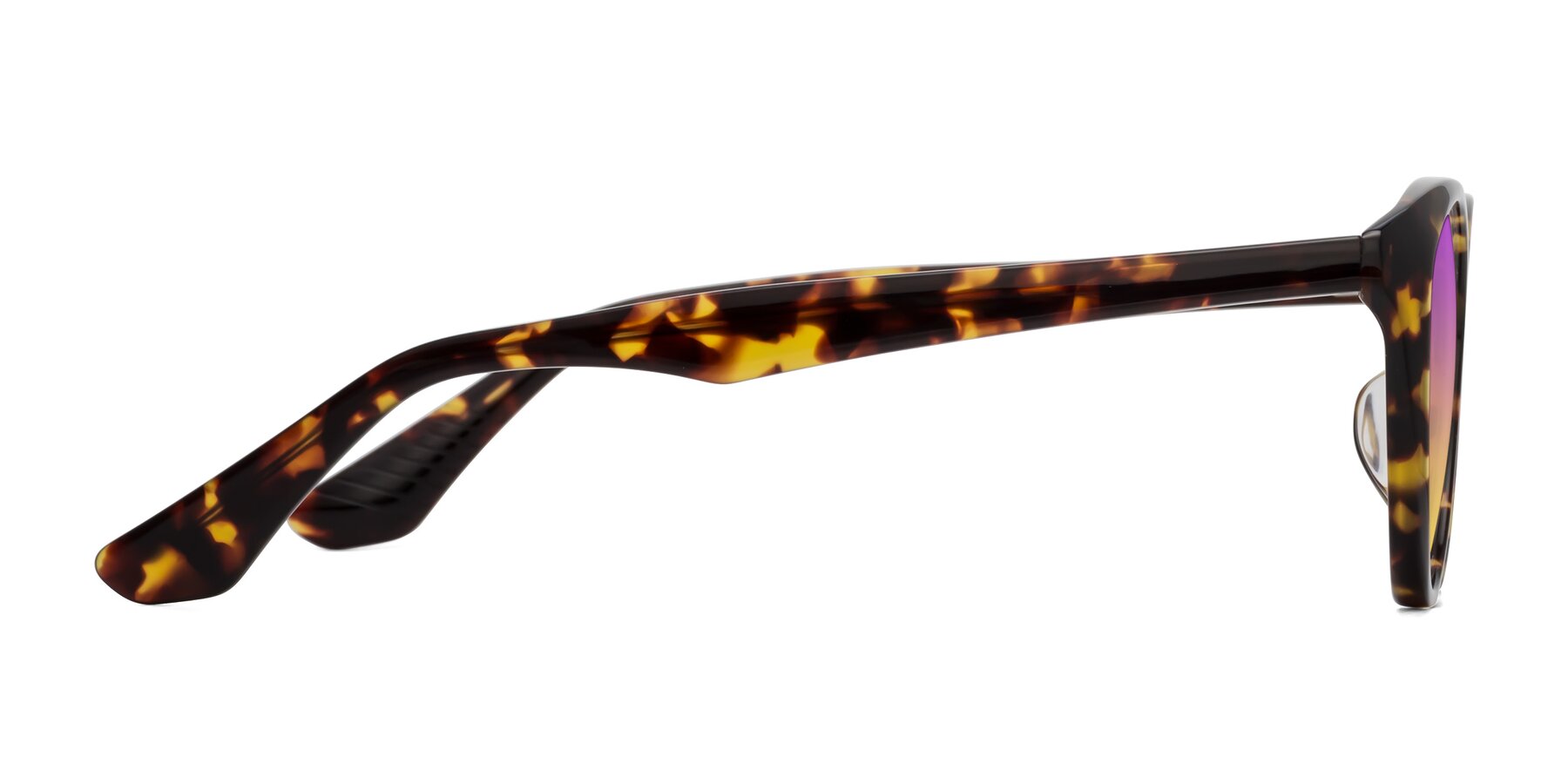 Side of Casualness in Tortoise with Purple / Yellow Gradient Lenses