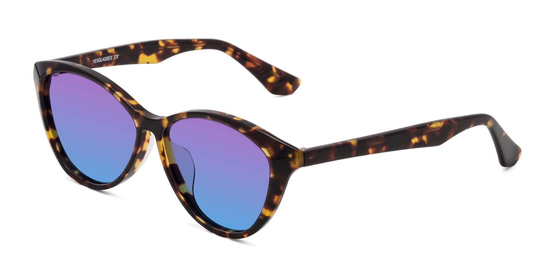 Angle of Casualness in Tortoise with Purple / Blue Gradient Lenses