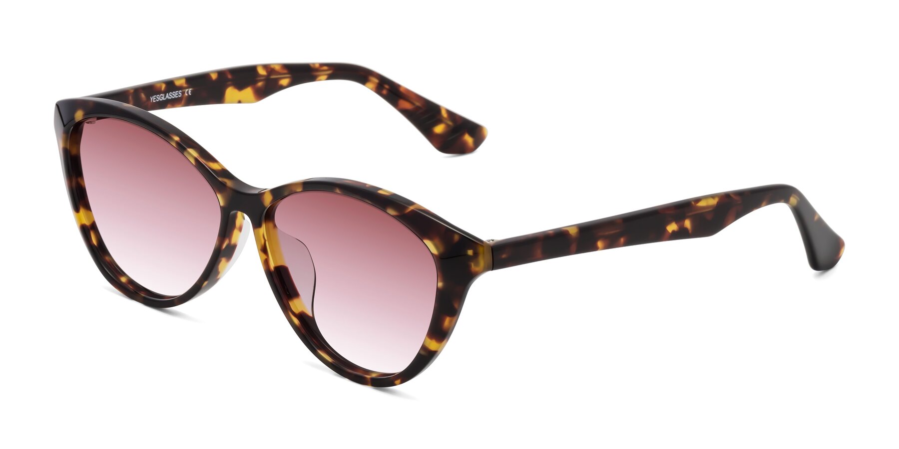 Angle of Casualness in Tortoise with Garnet Gradient Lenses