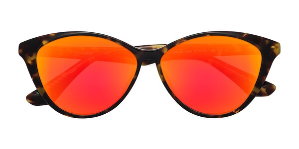 Front of Casualness in Tortoise