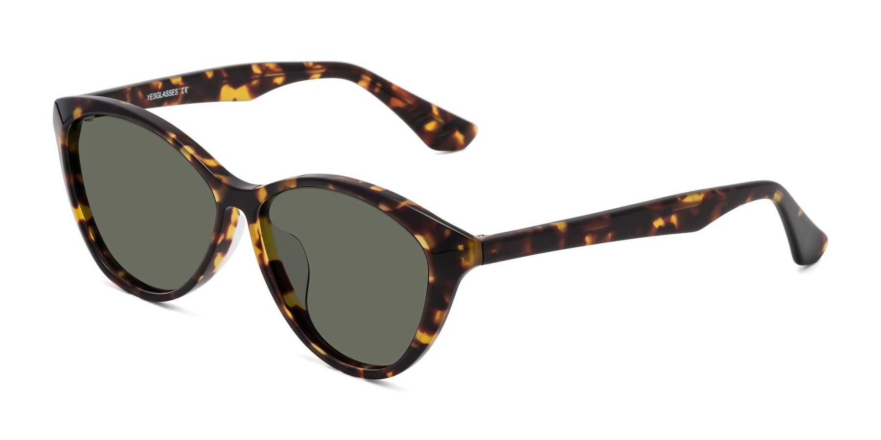 Angle of Casualness in Tortoise with Gray Polarized Lenses