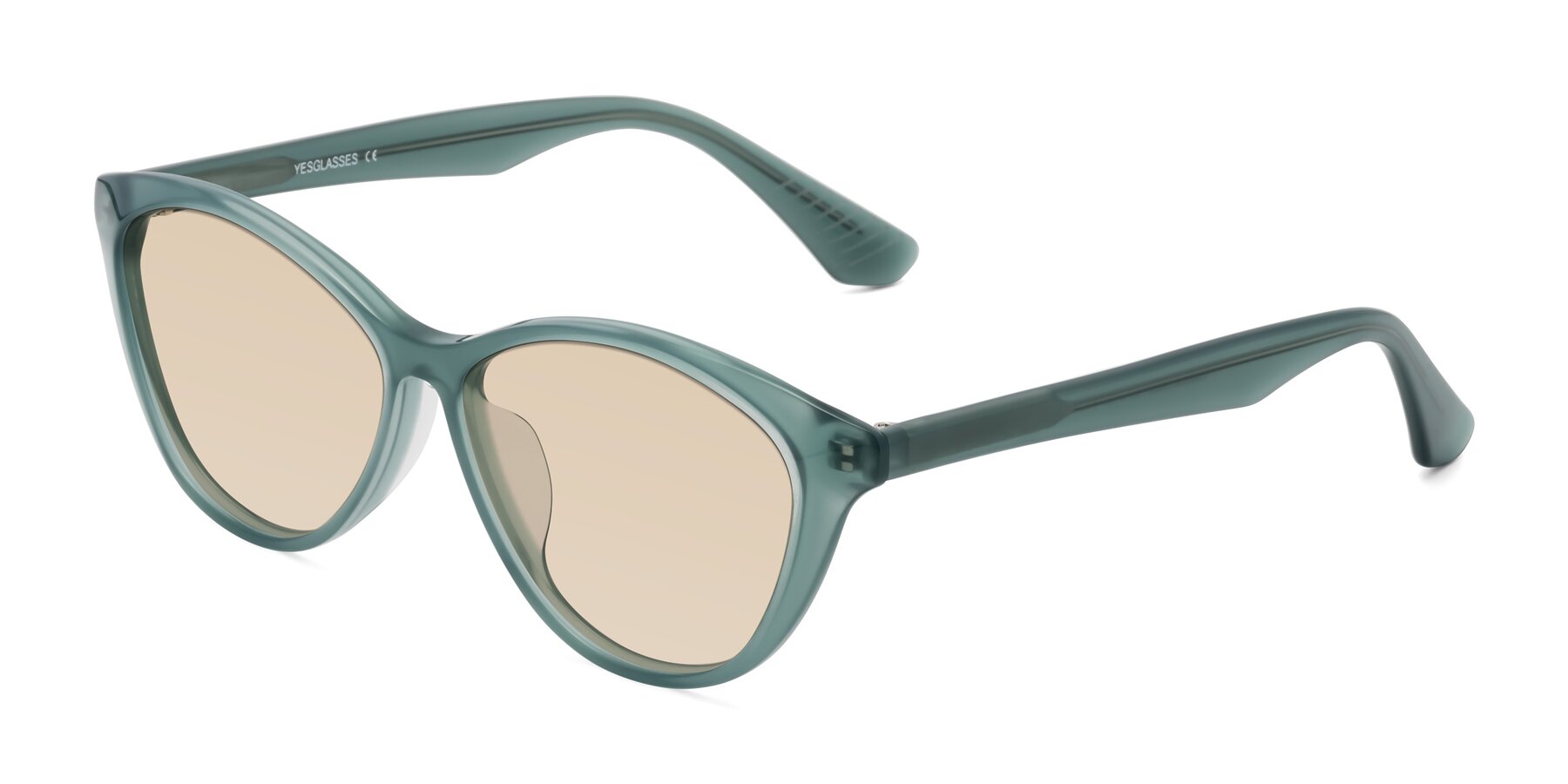 Angle of Casualness in Teal with Light Brown Tinted Lenses