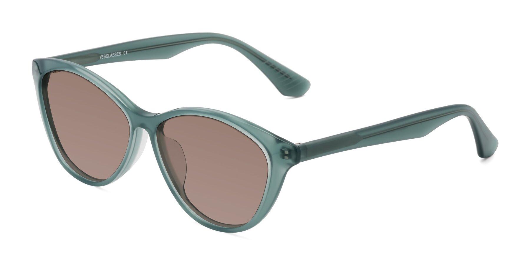 Angle of Casualness in Teal with Medium Brown Tinted Lenses