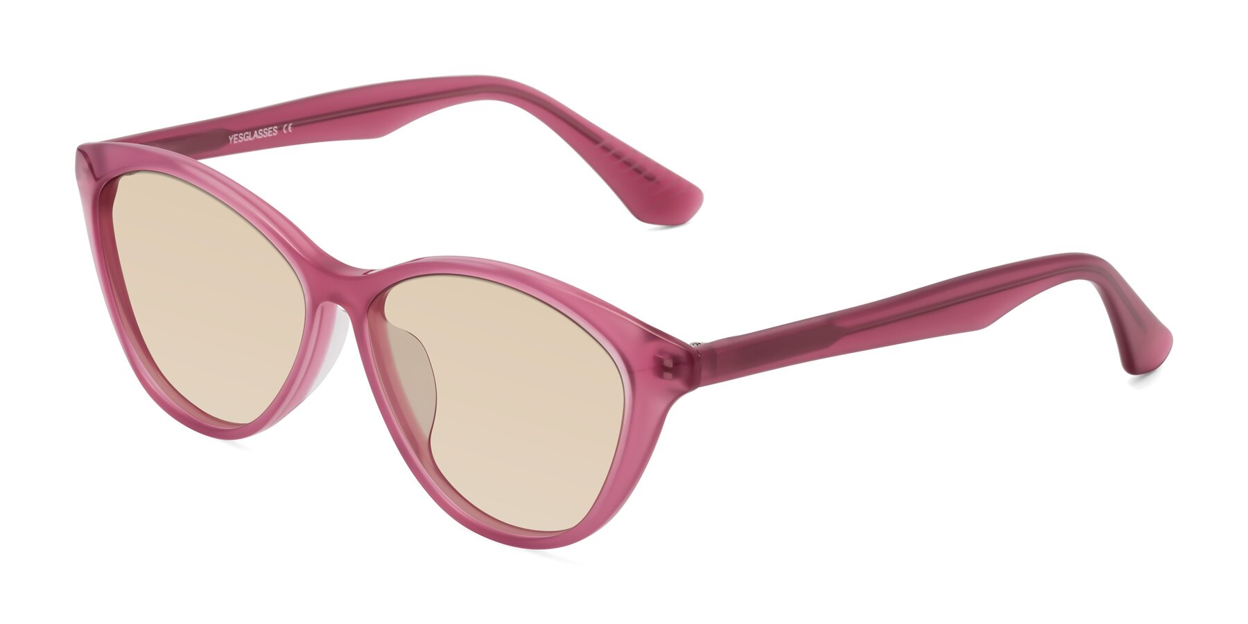 Angle of Casualness in Pink with Light Brown Tinted Lenses