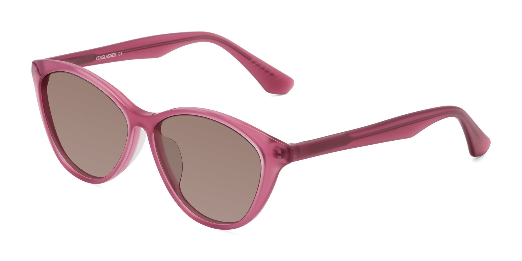 Angle of Casualness in Pink with Medium Brown Tinted Lenses