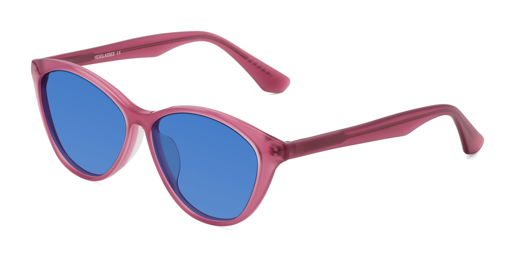 Angle of Casualness in Pink with Blue Tinted Lenses