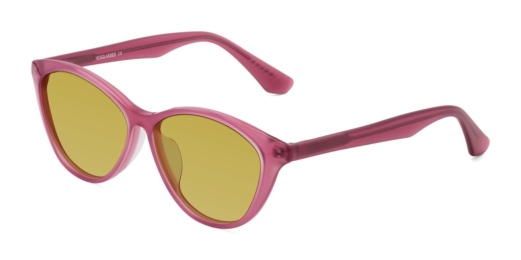 Angle of Casualness in Pink with Champagne Tinted Lenses