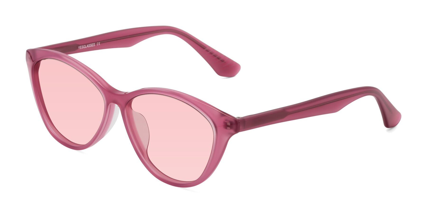 Angle of Casualness in Pink with Light Garnet Tinted Lenses