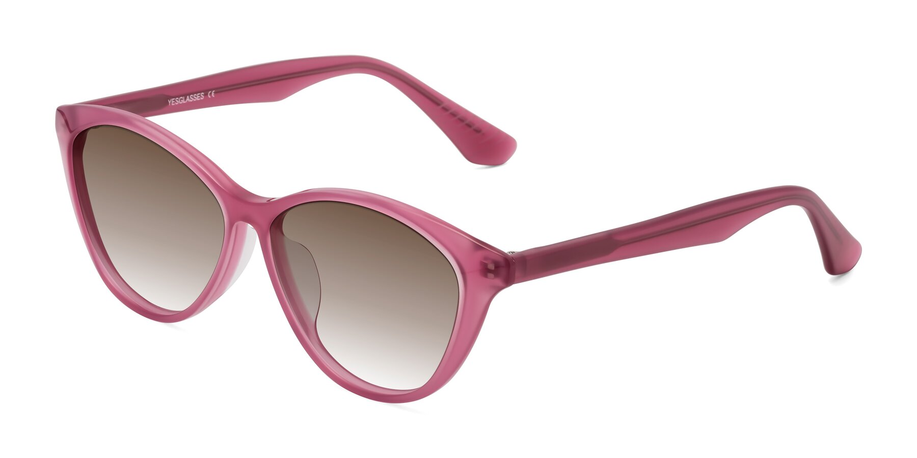 Angle of Casualness in Pink with Brown Gradient Lenses