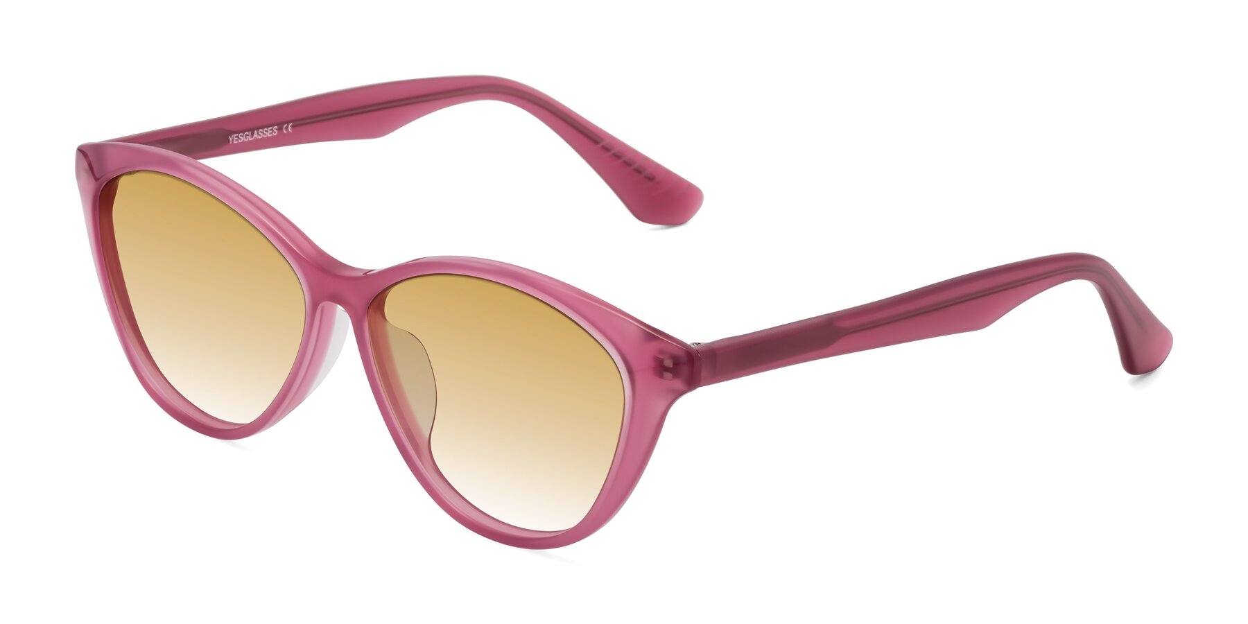 Angle of Casualness in Pink with Champagne Gradient Lenses