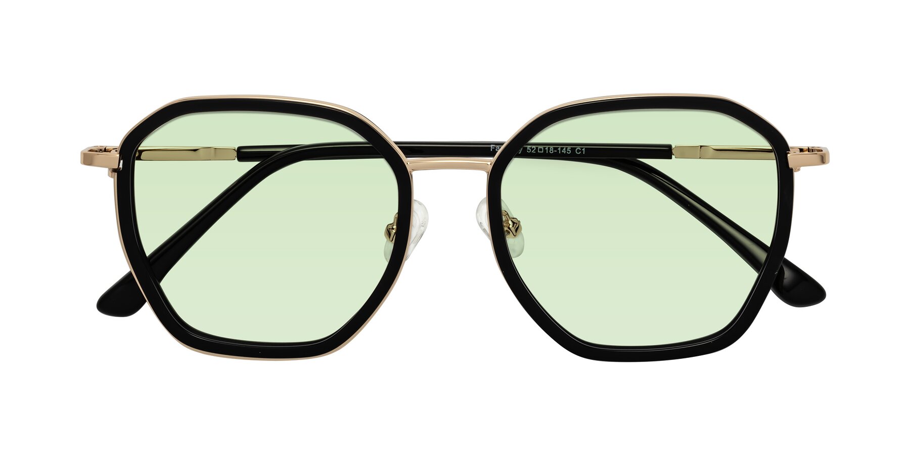 Folded Front of Fammily in Black-Gold with Light Green Tinted Lenses