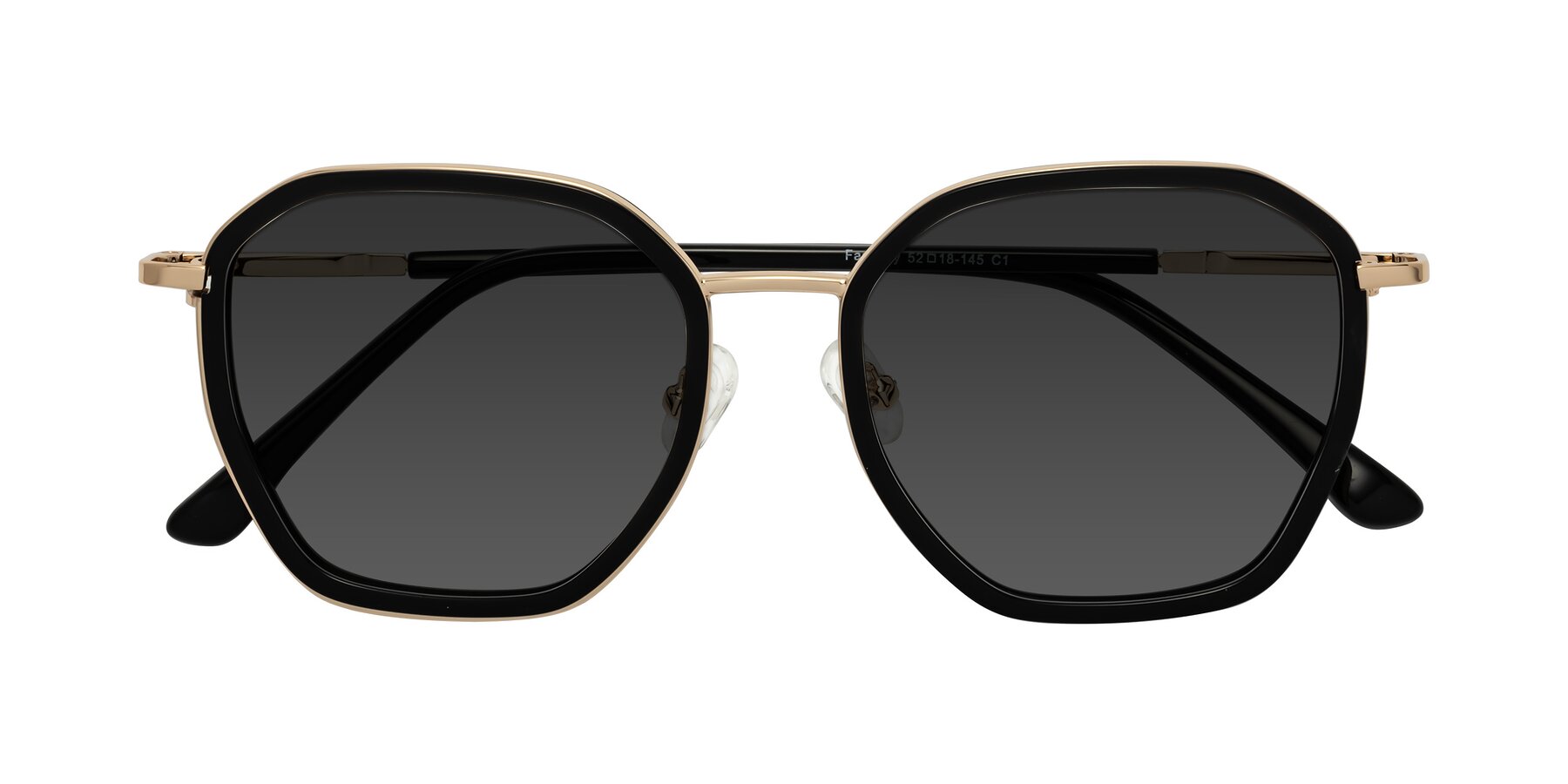 Folded Front of Fammily in Black-Gold with Gray Tinted Lenses