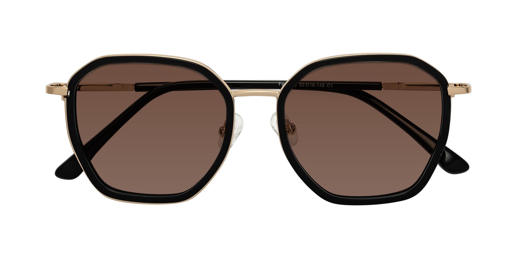 Folded Front of Fammily in Black-Gold with Brown Tinted Lenses