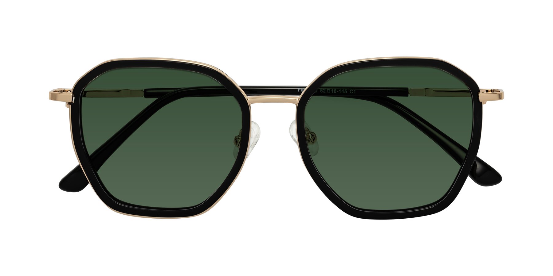 Folded Front of Fammily in Black-Gold with Green Tinted Lenses