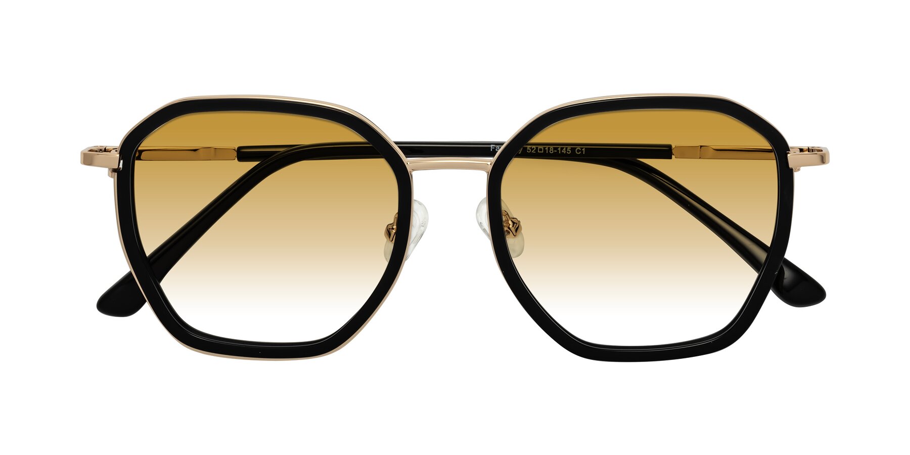 Folded Front of Fammily in Black-Gold with Champagne Gradient Lenses