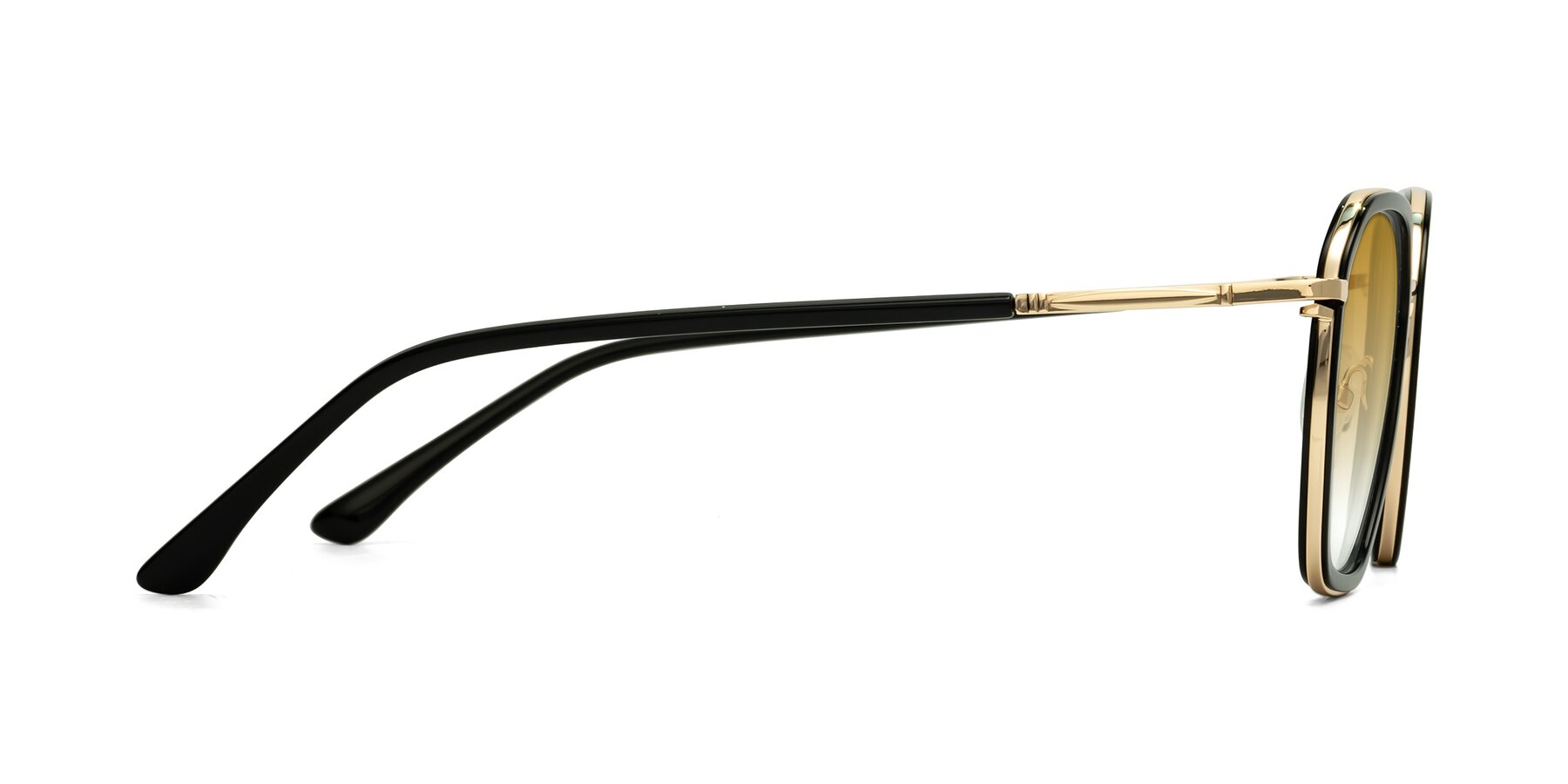 Side of Fammily in Black-Gold with Champagne Gradient Lenses