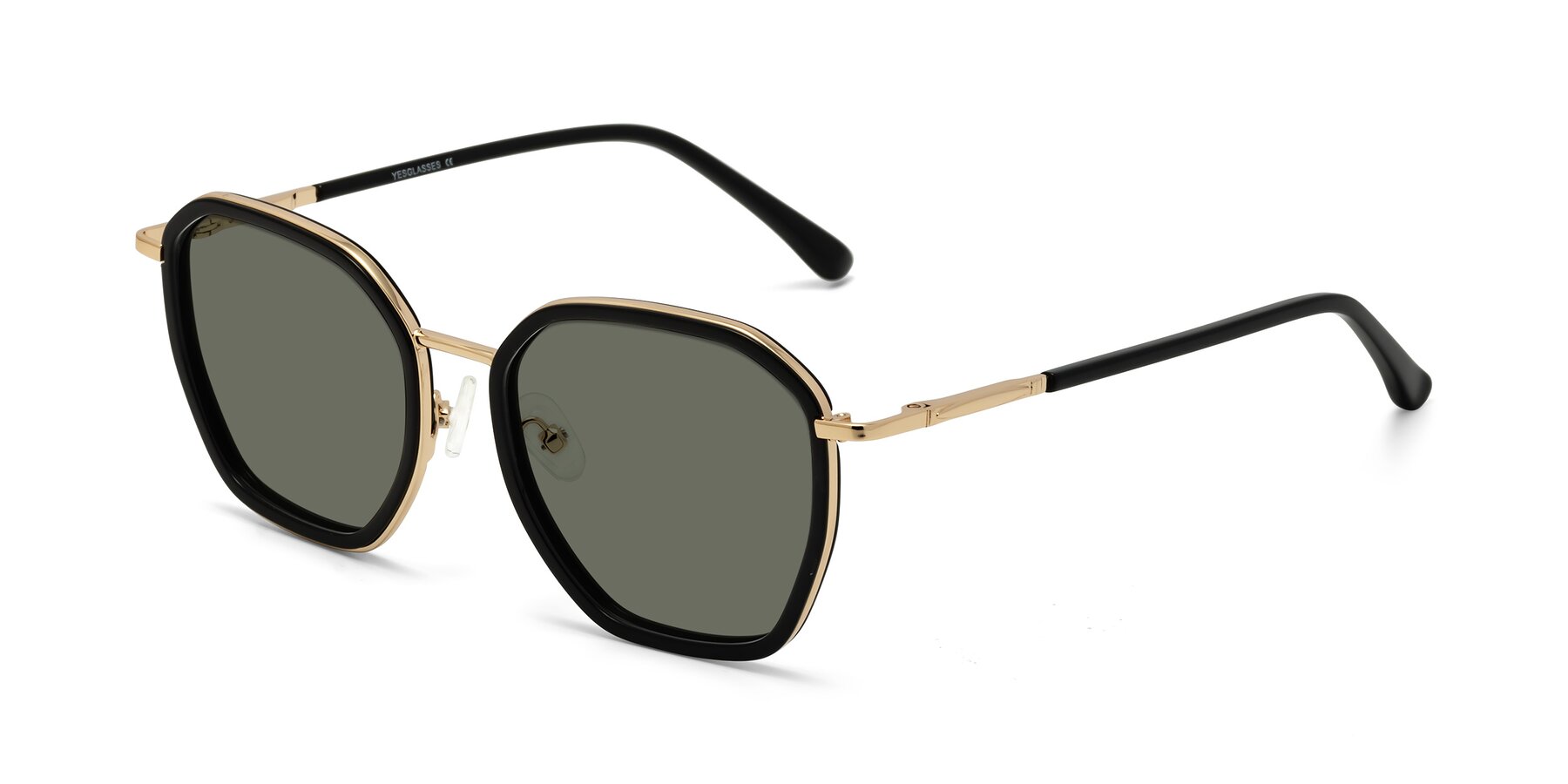 Angle of Fammily in Black-Gold with Gray Polarized Lenses