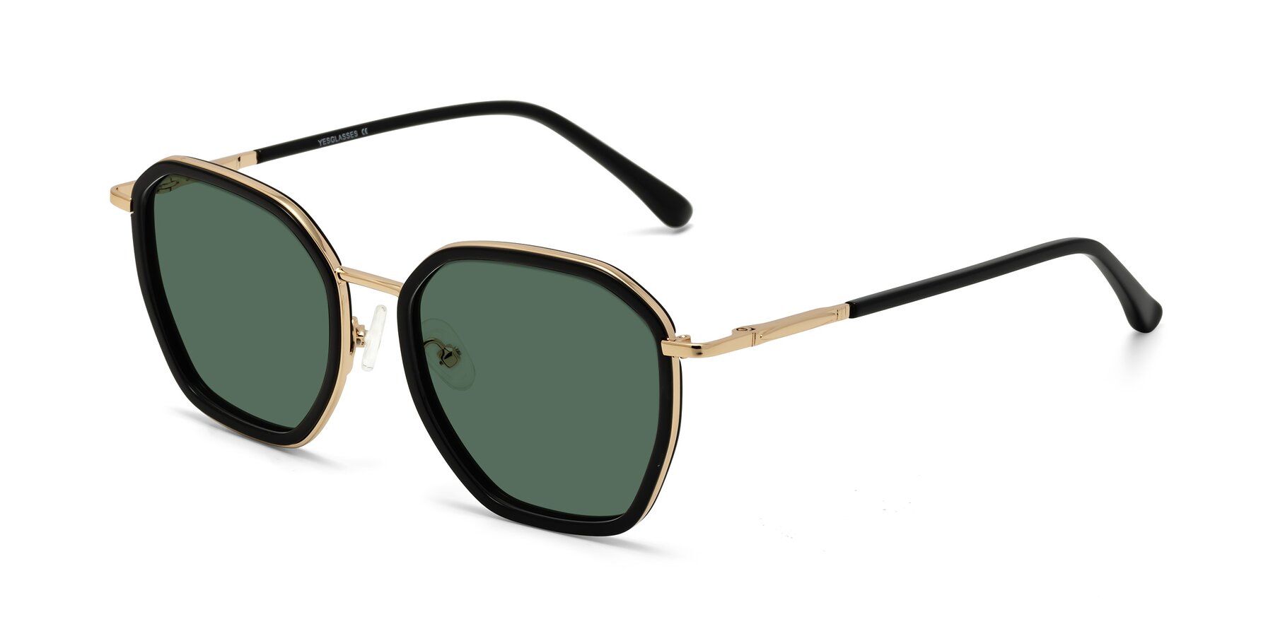 Angle of Fammily in Black-Gold with Green Polarized Lenses