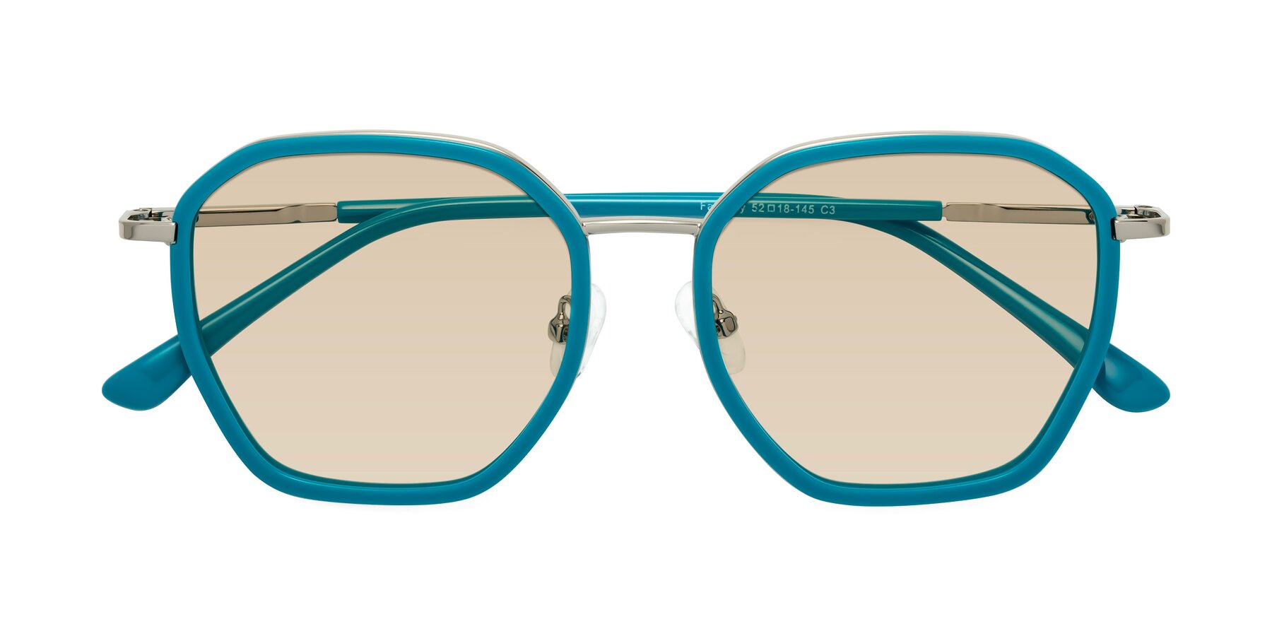 Folded Front of Fammily in Teal-Sliver with Light Brown Tinted Lenses