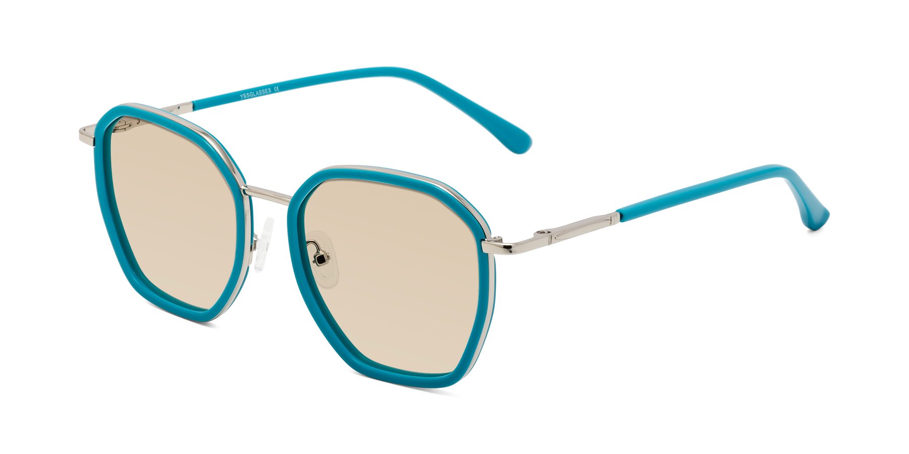 Angle of Fammily in Teal-Sliver with Light Brown Tinted Lenses