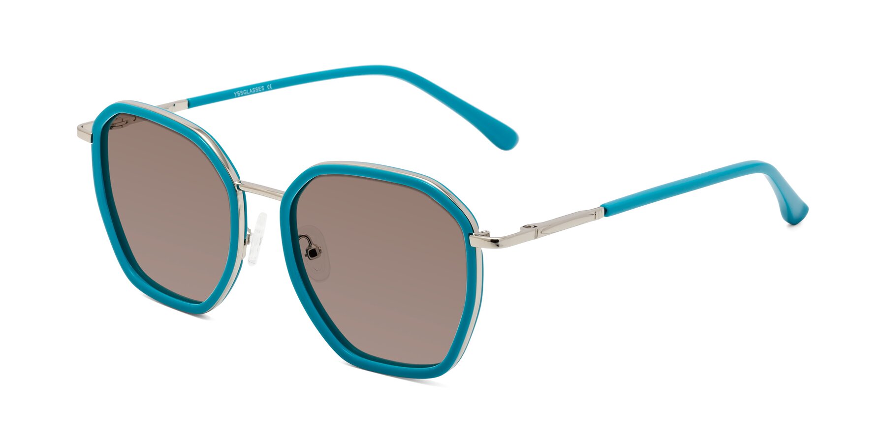 Angle of Fammily in Teal-Sliver with Medium Brown Tinted Lenses