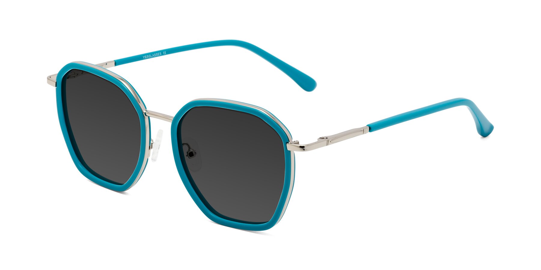 Angle of Fammily in Teal-Sliver with Gray Tinted Lenses