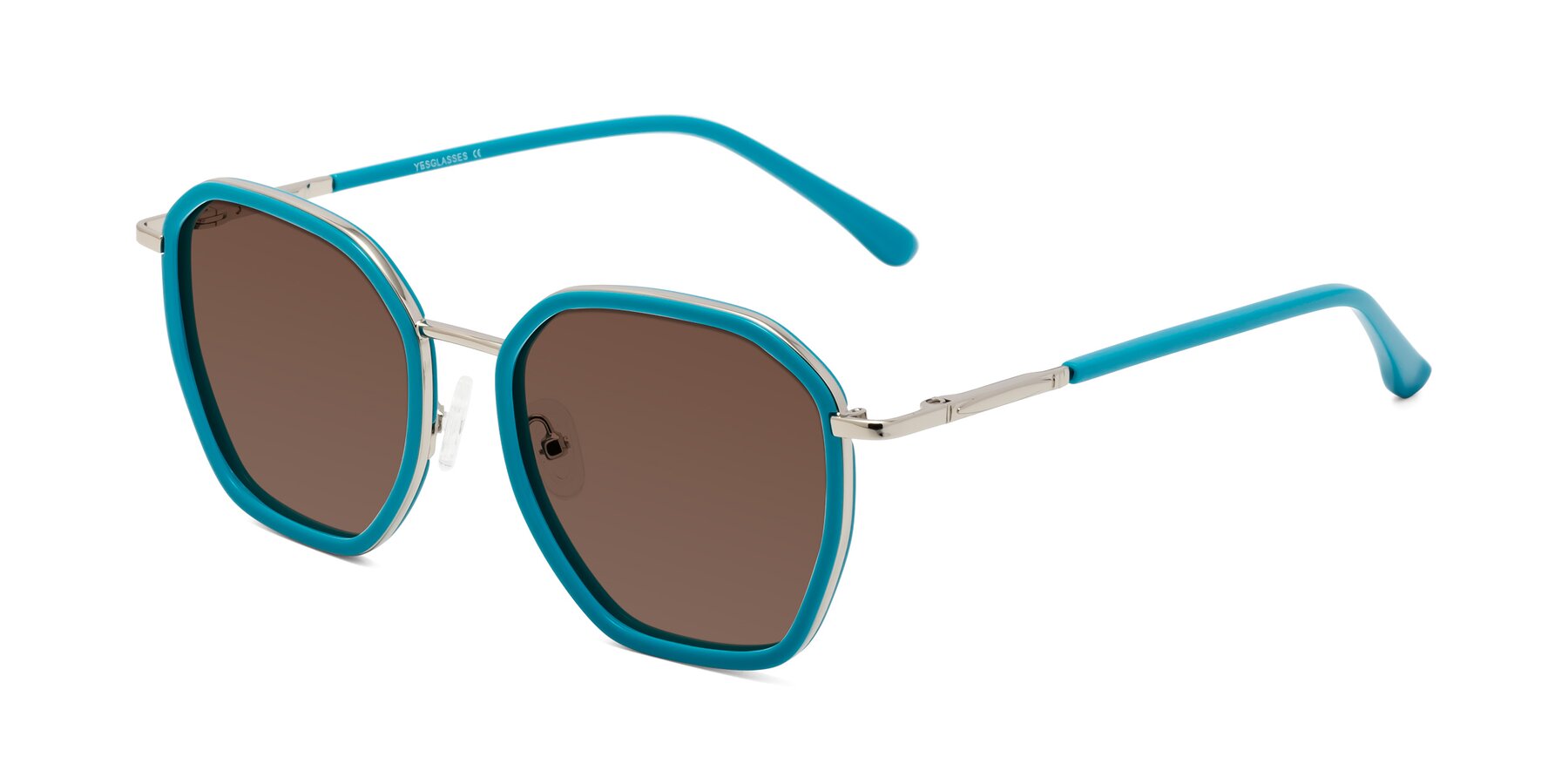 Angle of Fammily in Teal-Sliver with Brown Tinted Lenses