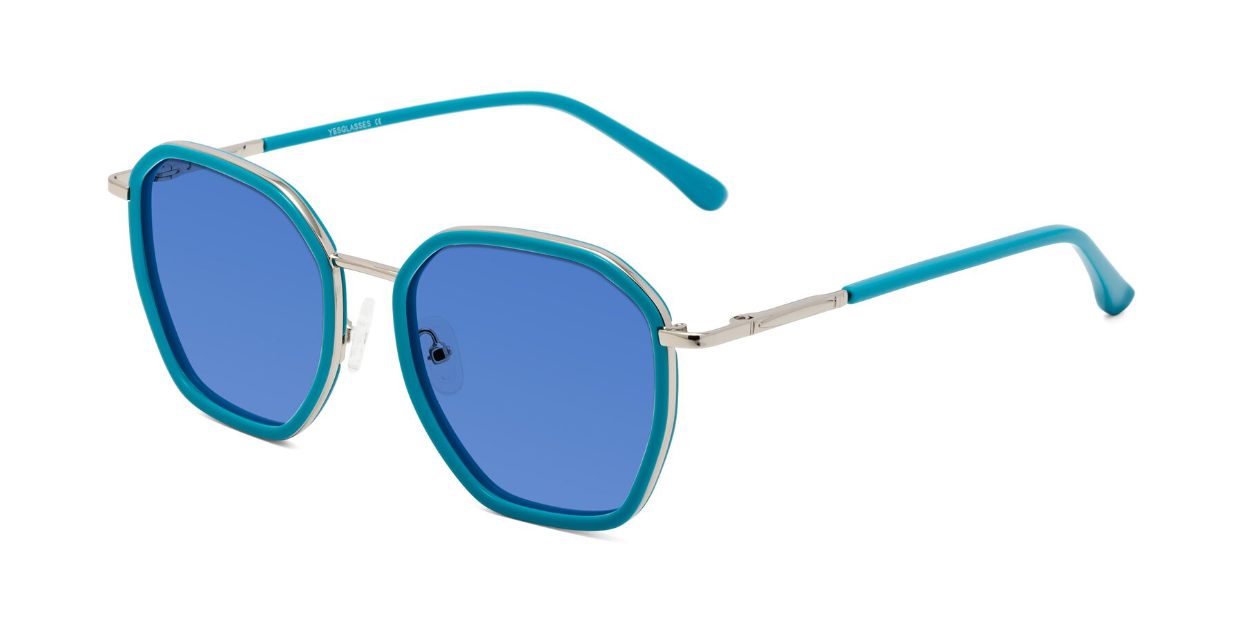 Angle of Fammily in Teal-Sliver with Blue Tinted Lenses