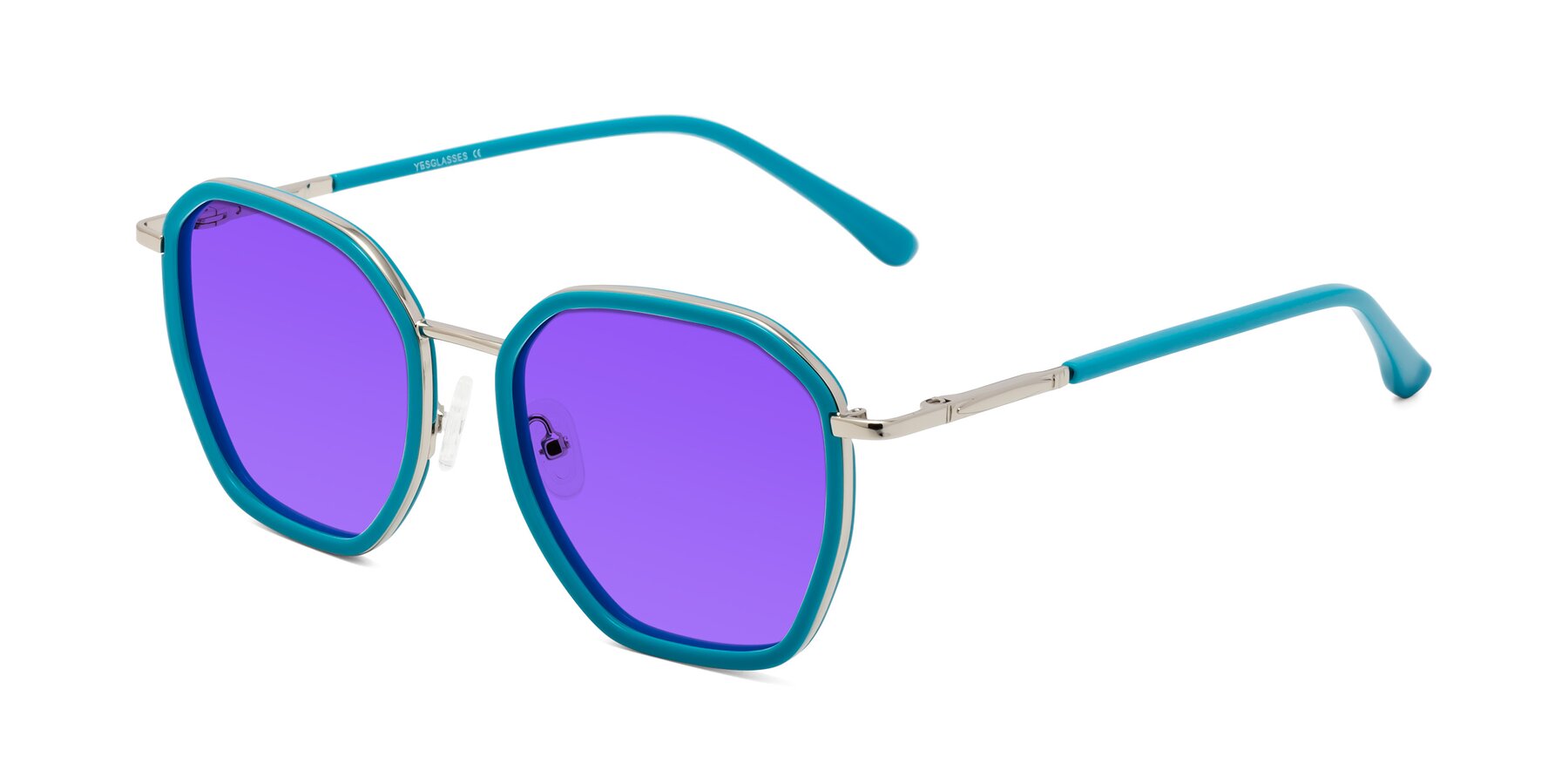 Angle of Fammily in Teal-Sliver with Purple Tinted Lenses