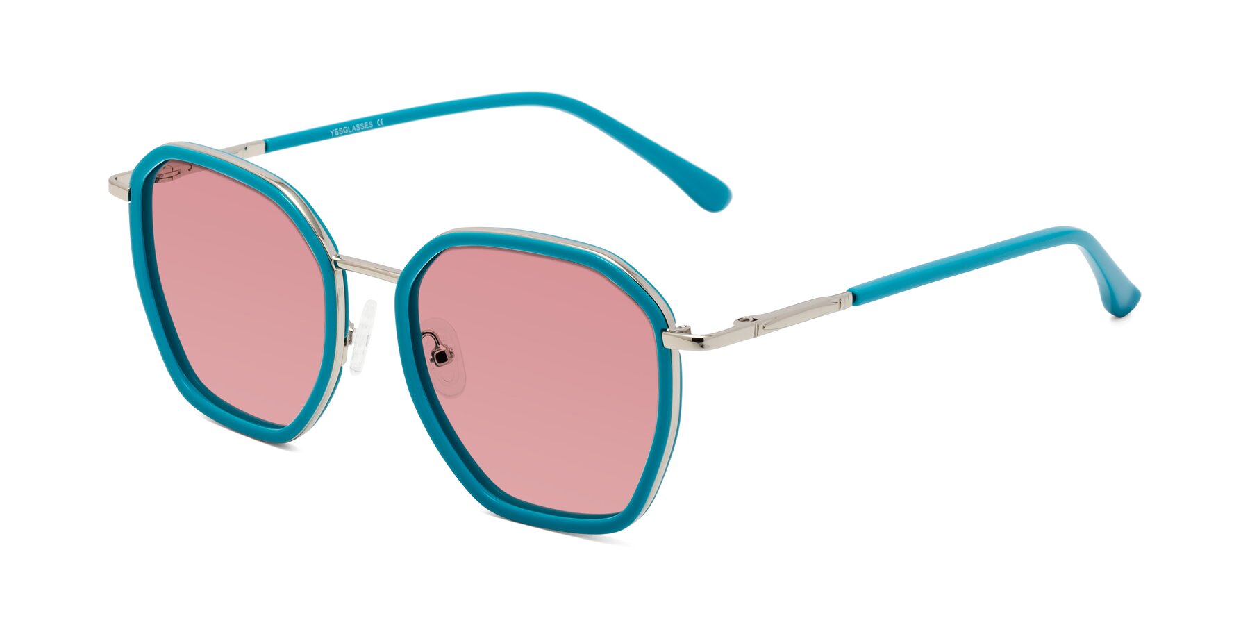 Angle of Fammily in Teal-Sliver with Medium Garnet Tinted Lenses