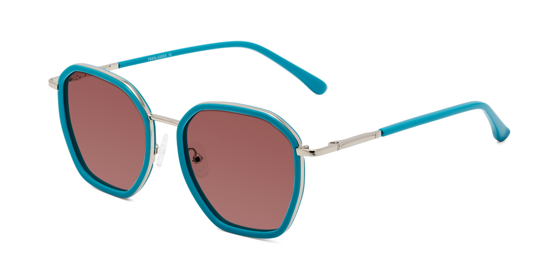 Angle of Fammily in Teal-Sliver with Garnet Tinted Lenses