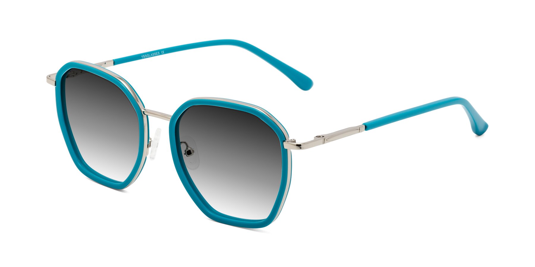 Angle of Fammily in Teal-Sliver with Gray Gradient Lenses