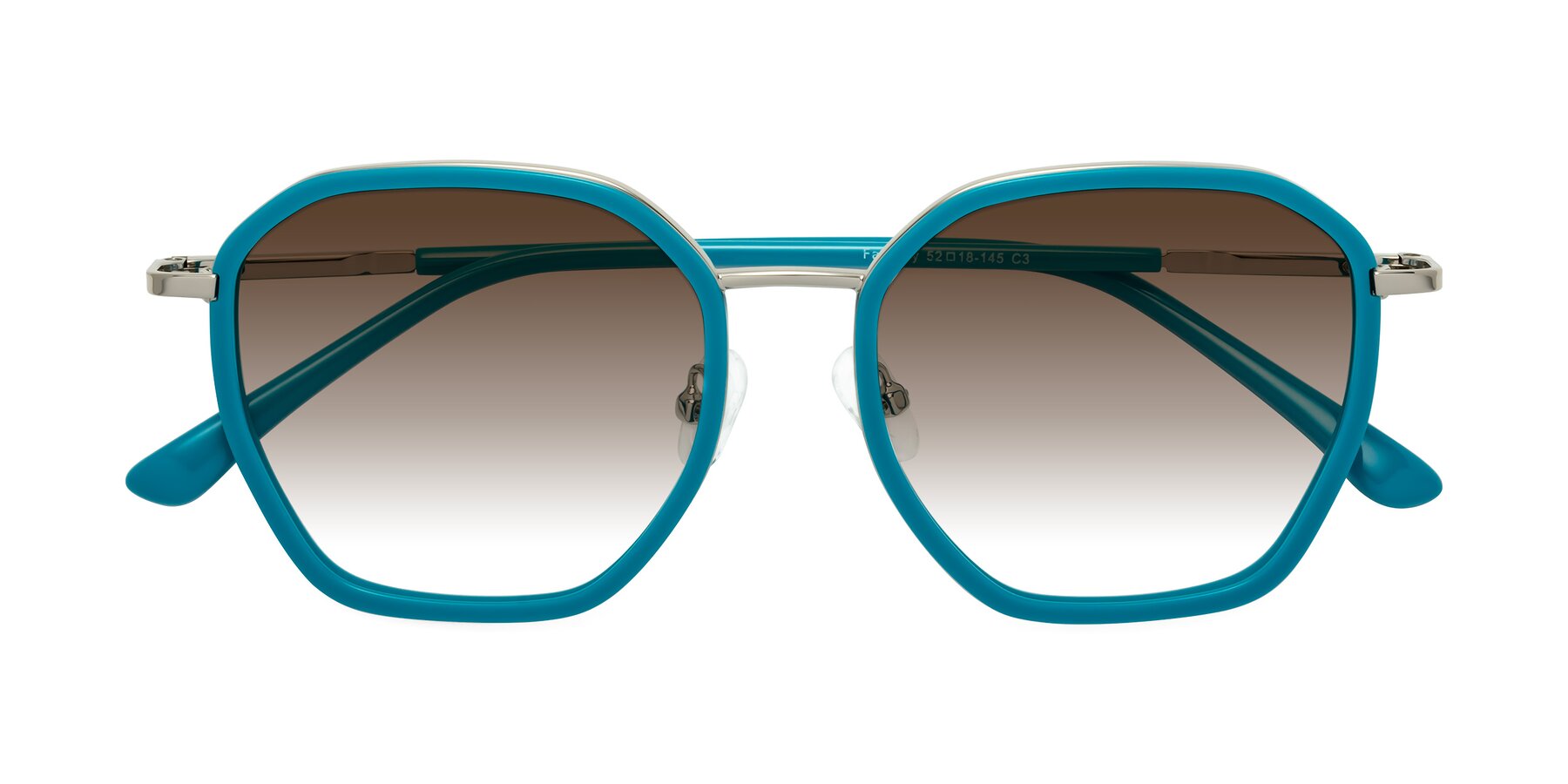 Folded Front of Fammily in Teal-Sliver with Brown Gradient Lenses