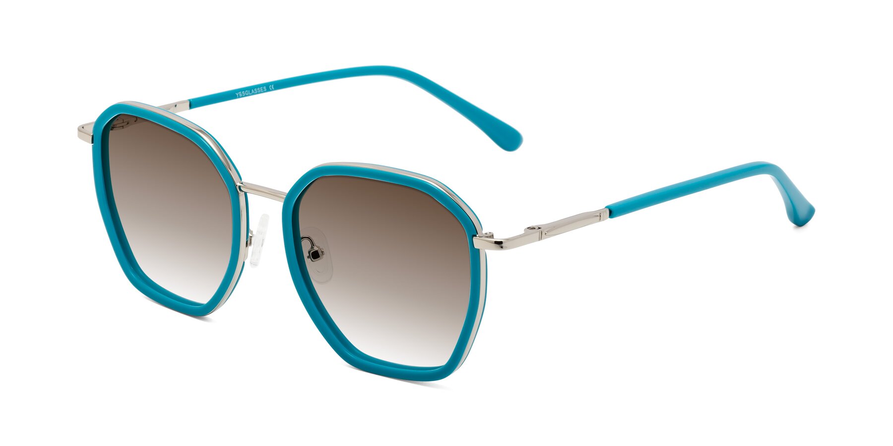 Angle of Fammily in Teal-Sliver with Brown Gradient Lenses