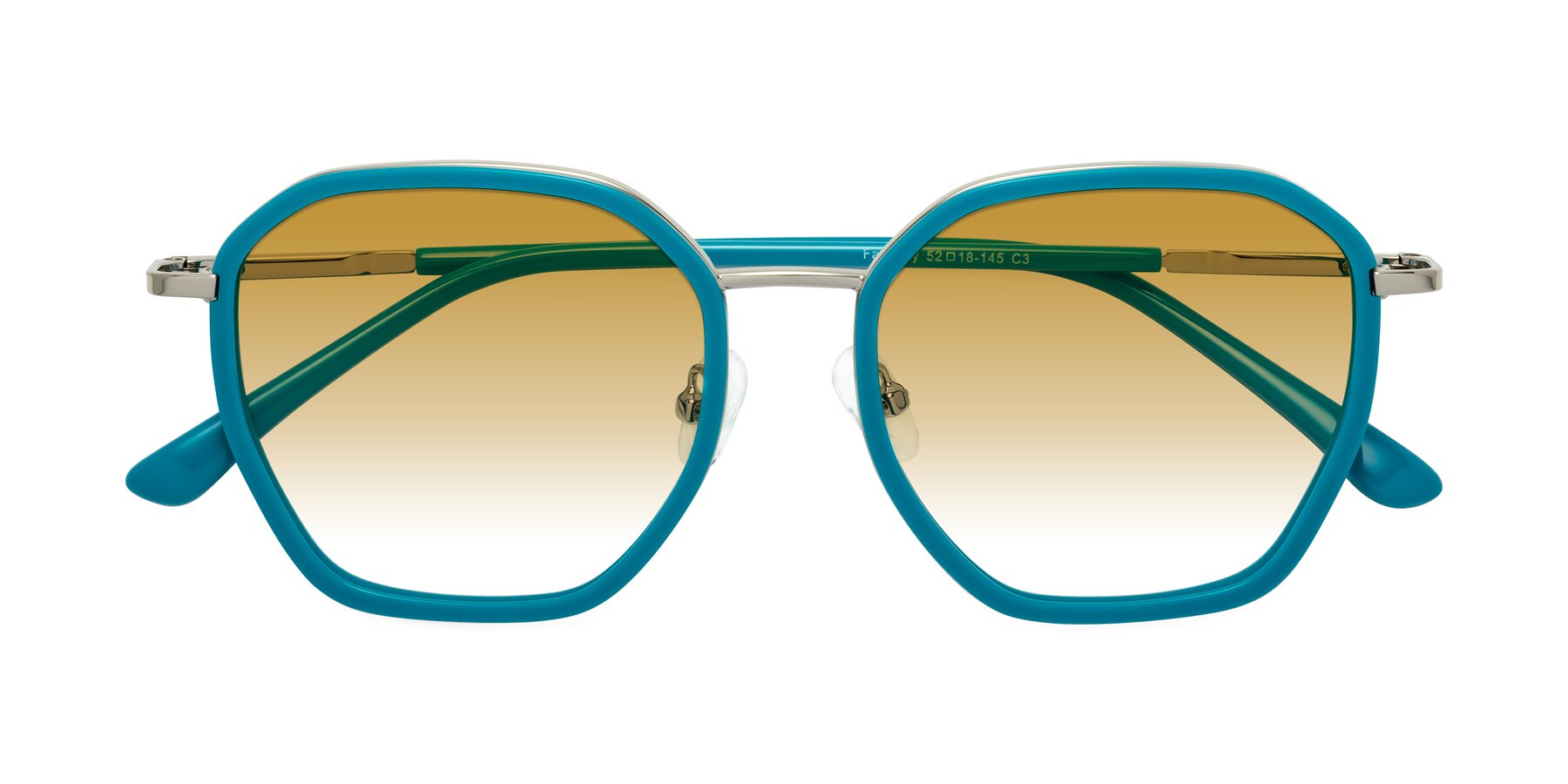 Folded Front of Fammily in Teal-Sliver with Champagne Gradient Lenses