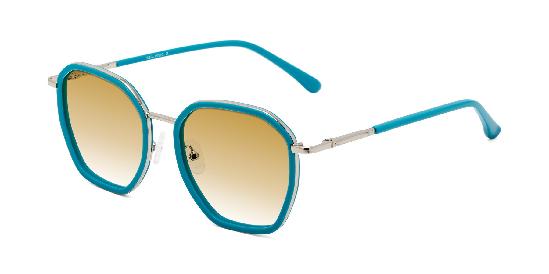 Angle of Fammily in Teal-Sliver with Champagne Gradient Lenses