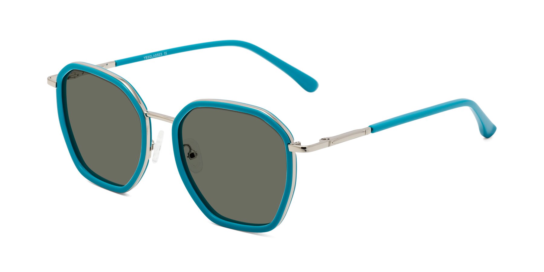 Angle of Fammily in Teal-Sliver with Gray Polarized Lenses