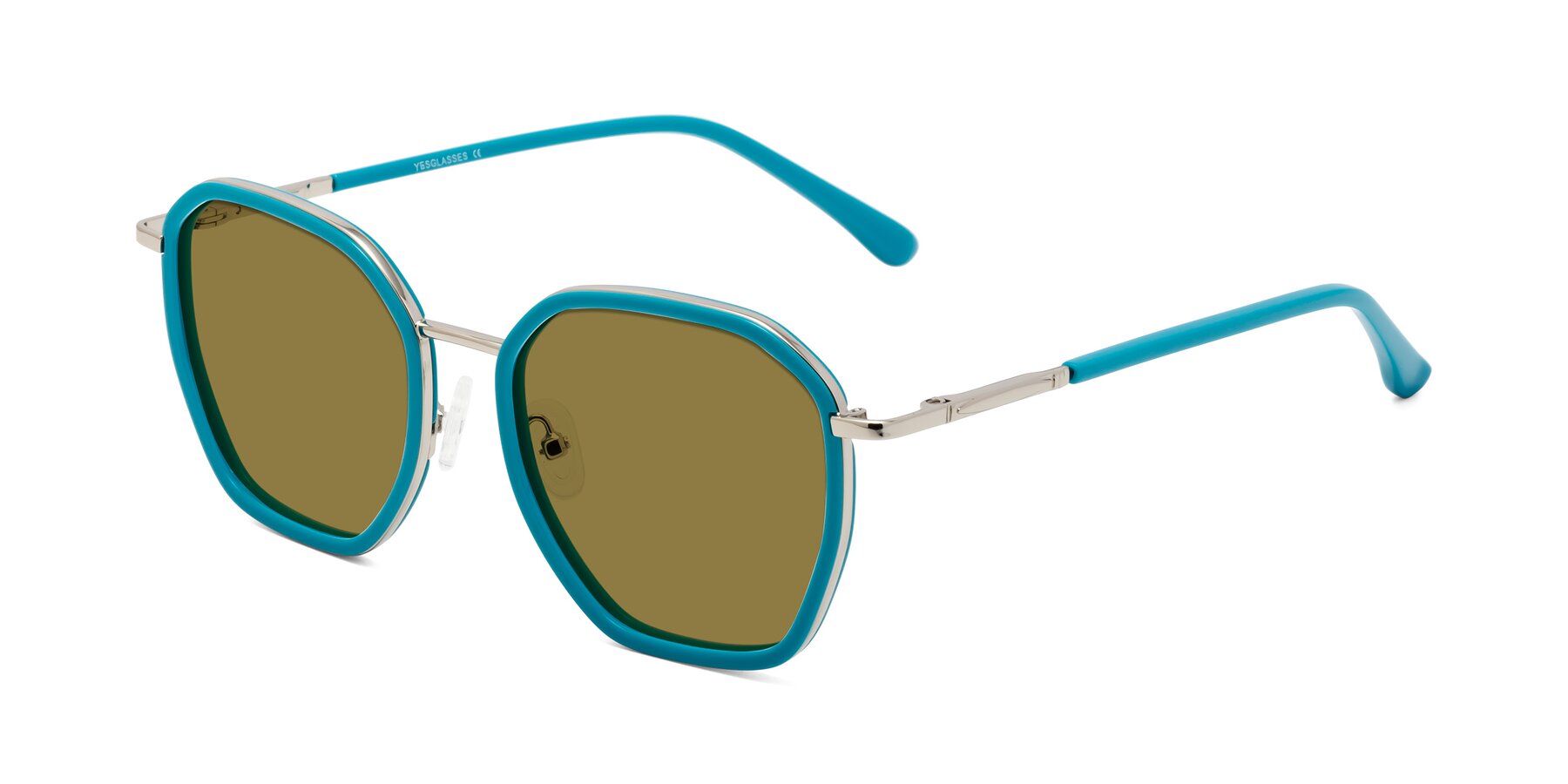 Angle of Fammily in Teal-Sliver with Brown Polarized Lenses