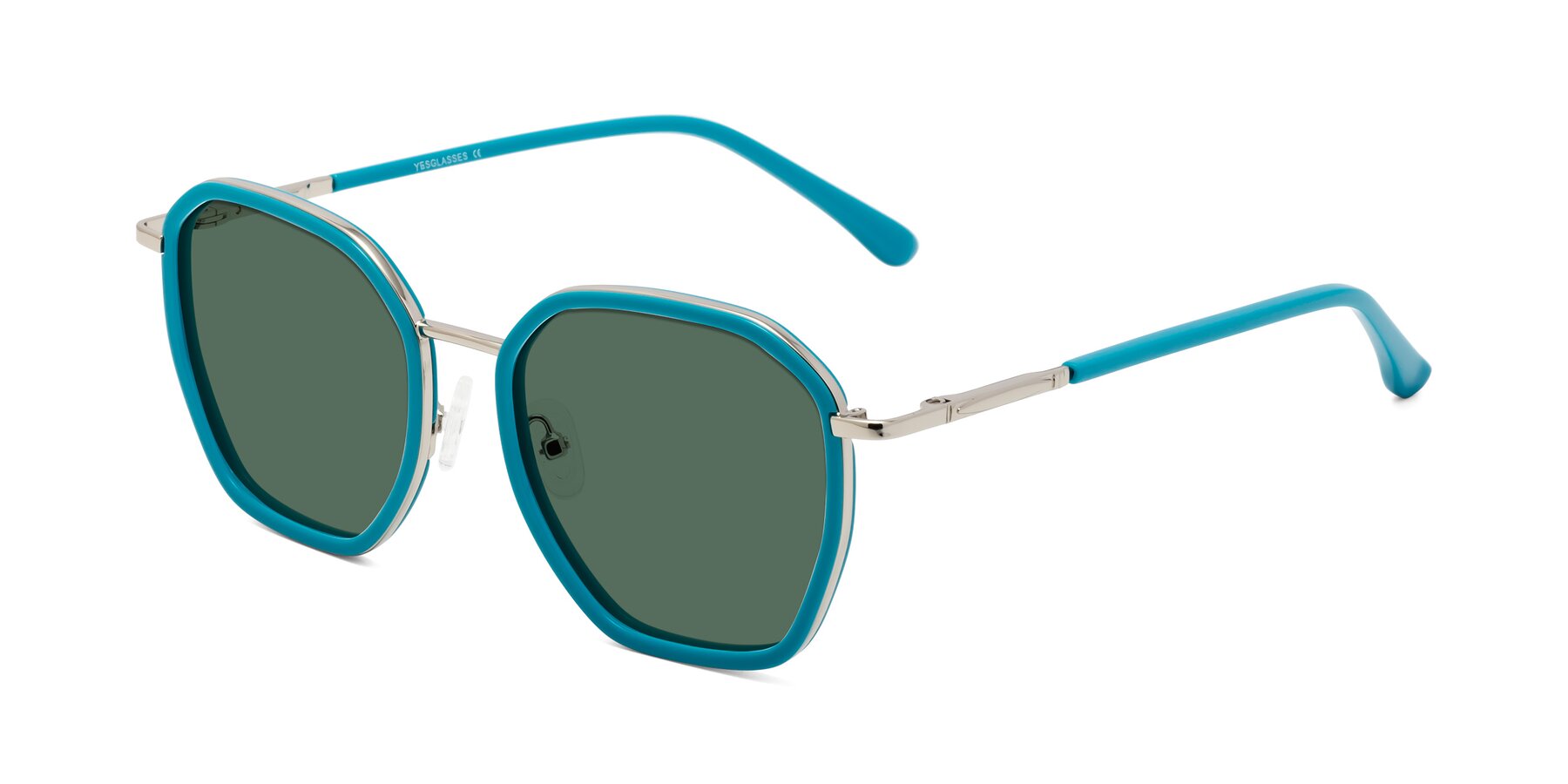 Angle of Fammily in Teal-Sliver with Green Polarized Lenses