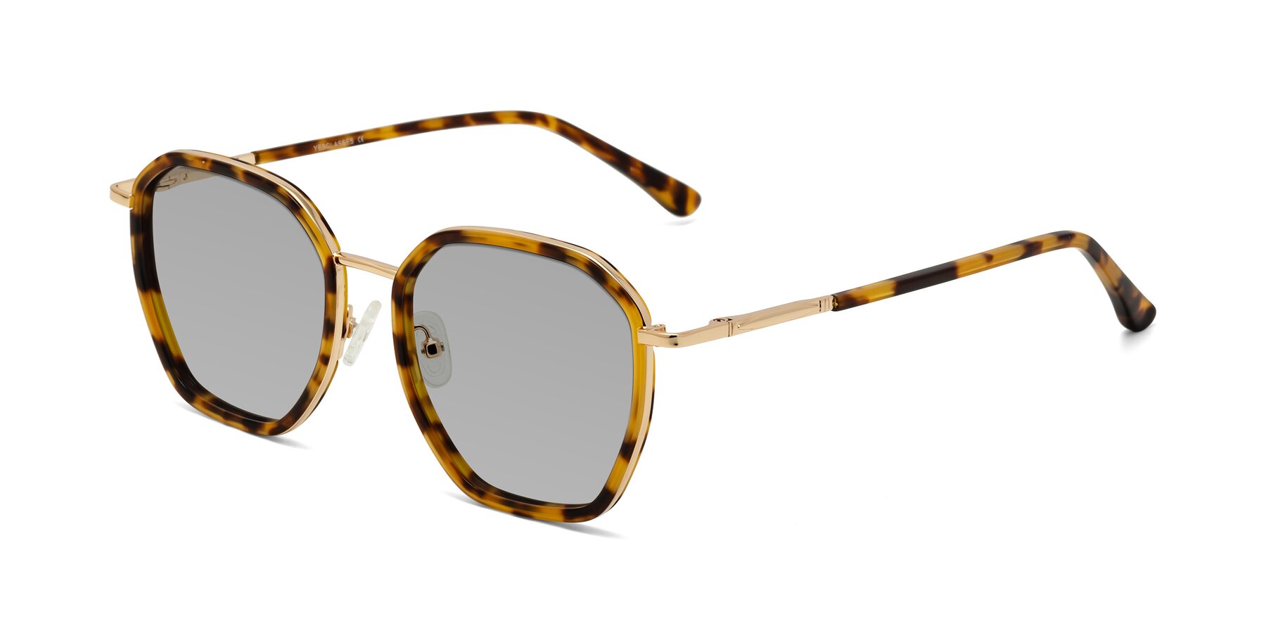 Angle of Fammily in Tortoise-Gold with Light Gray Tinted Lenses