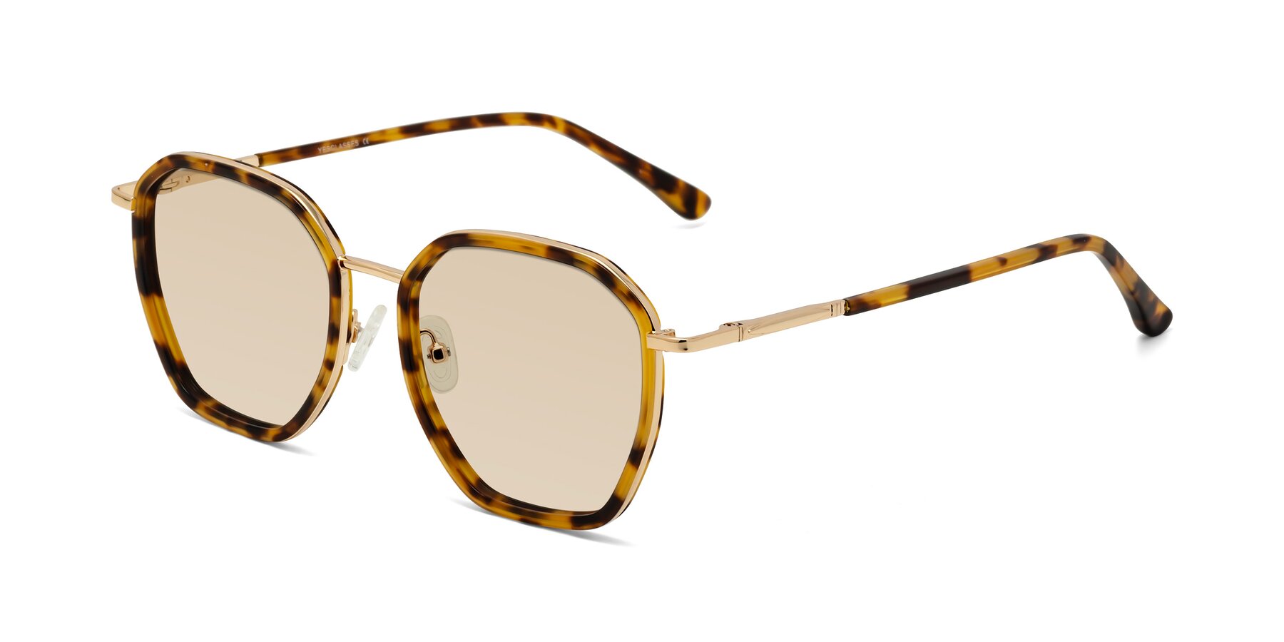 Angle of Fammily in Tortoise-Gold with Light Brown Tinted Lenses