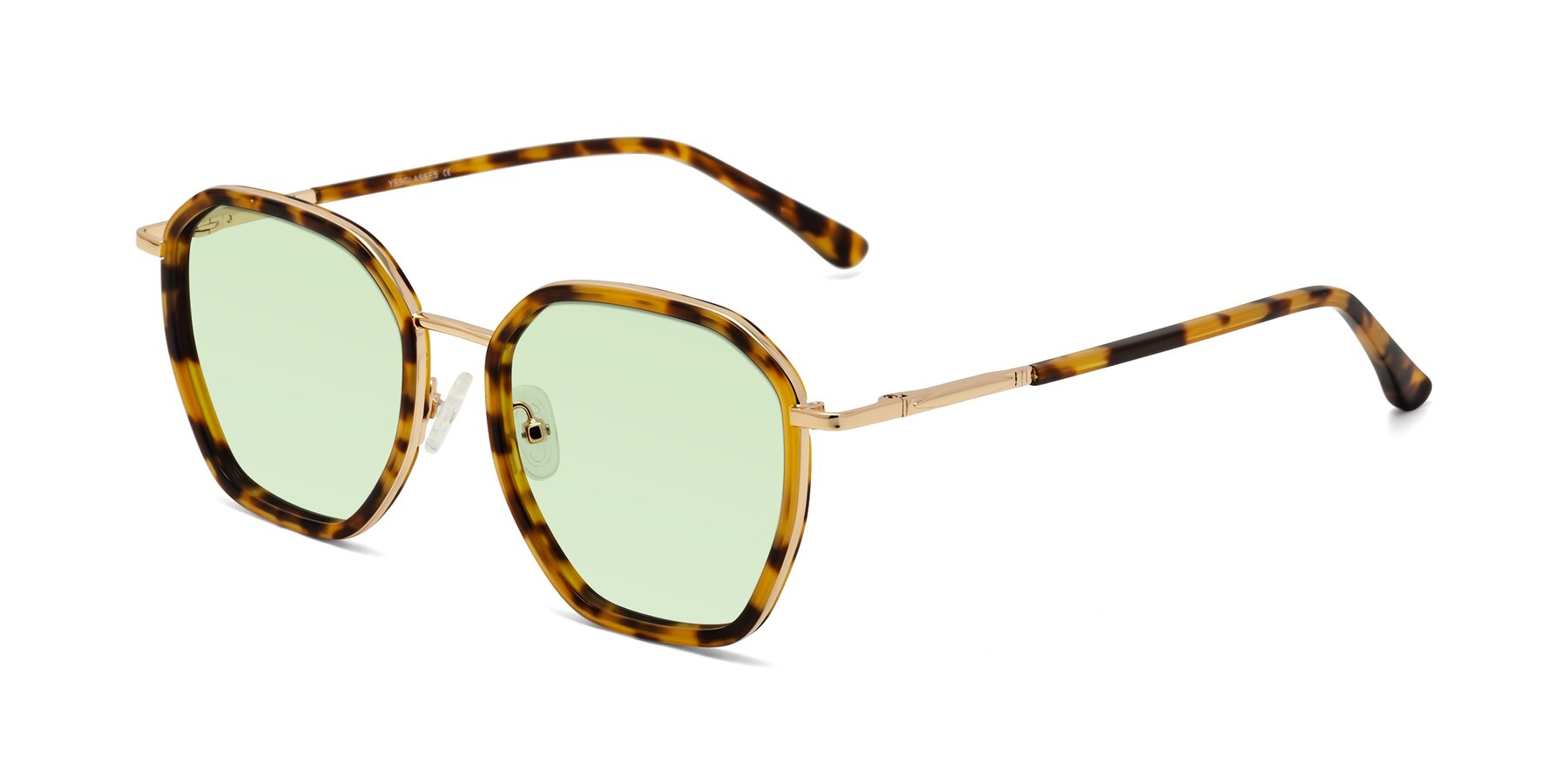 Angle of Fammily in Tortoise-Gold with Light Green Tinted Lenses