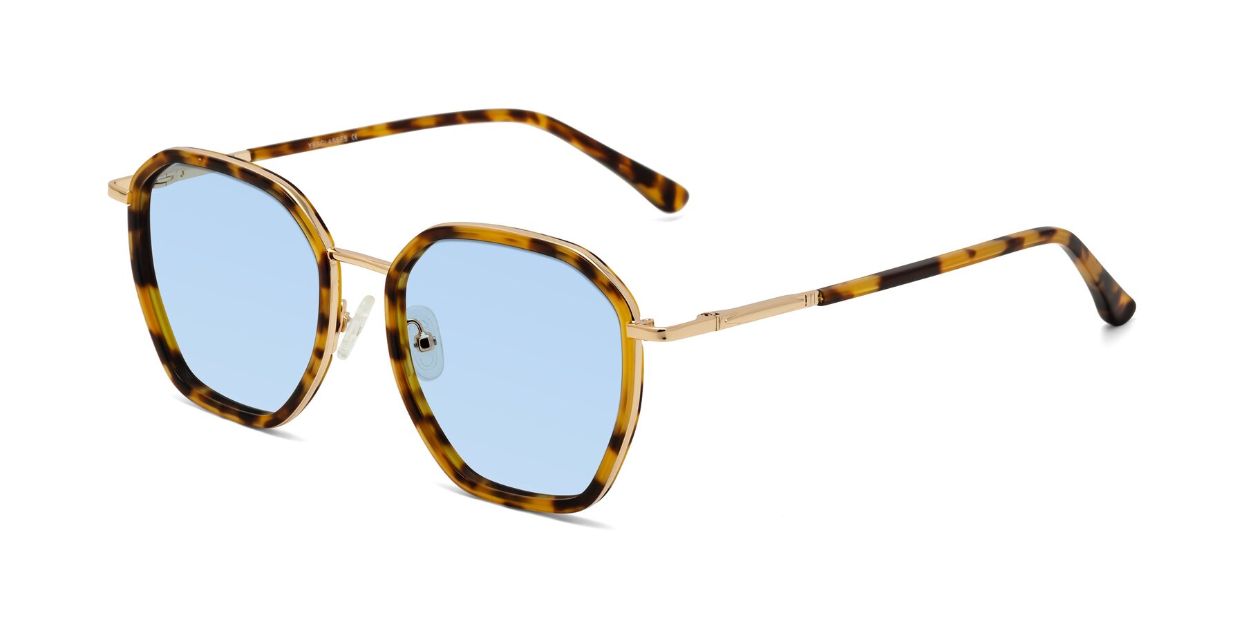 Angle of Fammily in Tortoise-Gold with Light Blue Tinted Lenses