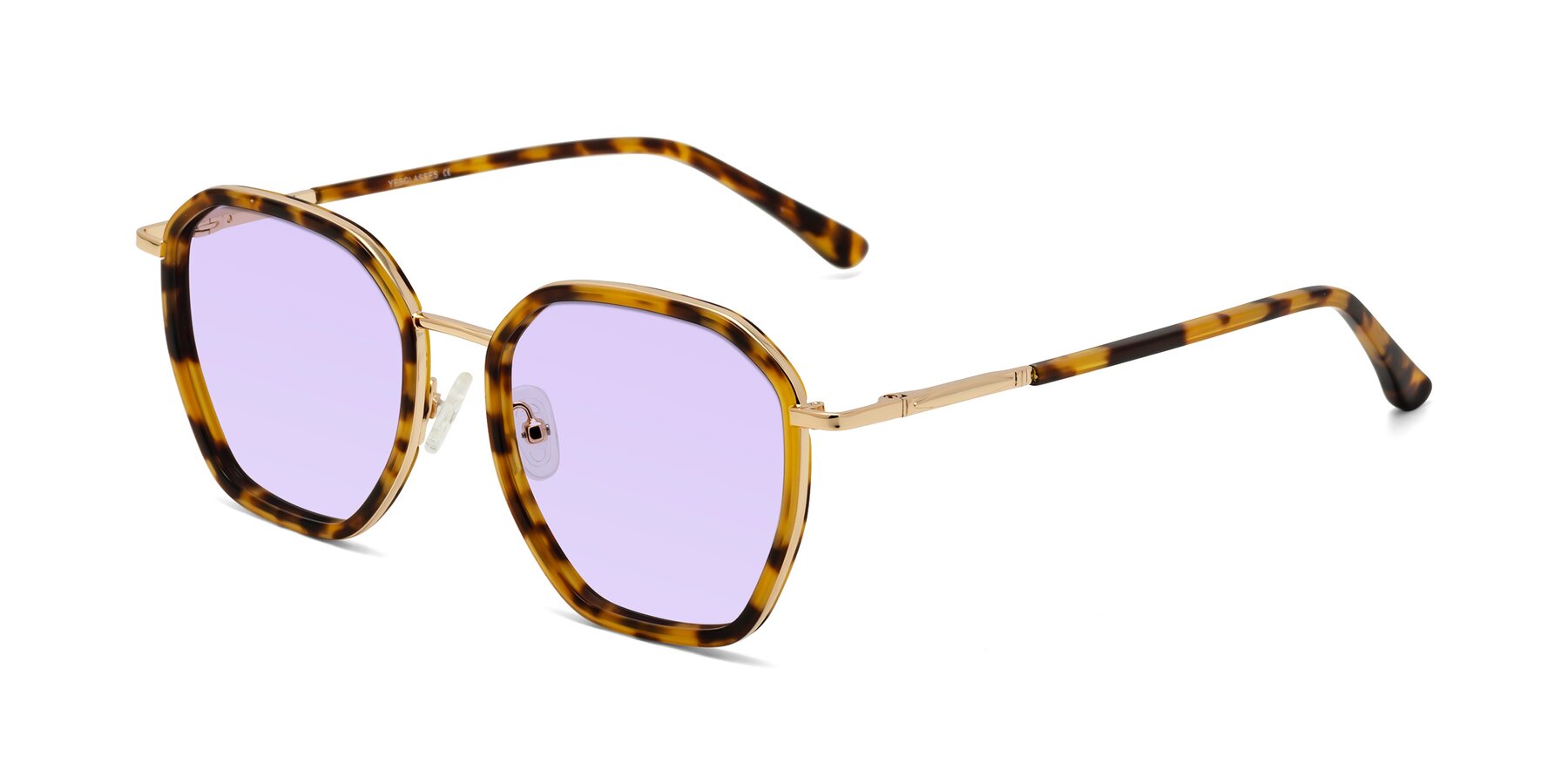 Angle of Fammily in Tortoise-Gold with Light Purple Tinted Lenses