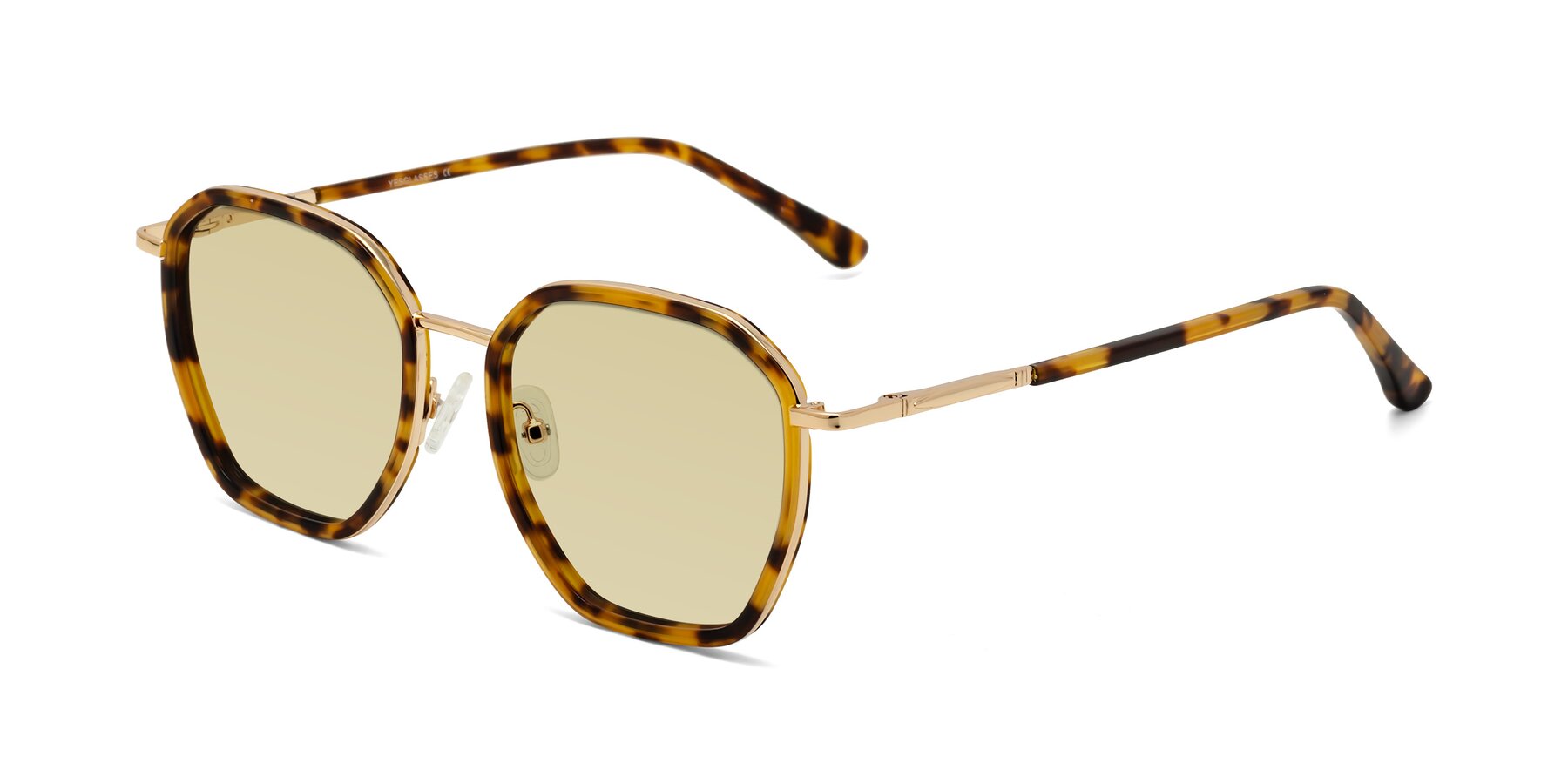 Angle of Fammily in Tortoise-Gold with Light Champagne Tinted Lenses