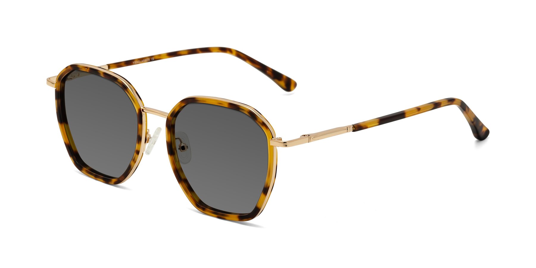 Angle of Fammily in Tortoise-Gold with Medium Gray Tinted Lenses