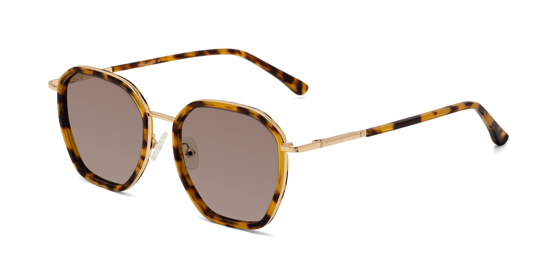 Angle of Fammily in Tortoise-Gold with Medium Brown Tinted Lenses